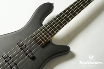 RockBass STREAMER LX 5